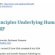 Applied Mathematics Scientific Research