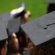 Best College for Web Design