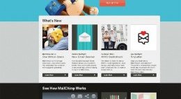 Mail Chimp Graphics or mascot used in the web design can help customer relate to the company’s image or brand.