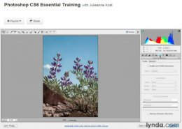 Lynda photoshop course