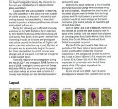 magazine-page-example