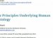 Applied Mathematics Scientific Research