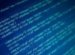 Web Developer Info