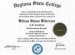Web Development College