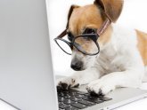 Current Technology in Computer Science