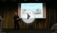 Mathematics and music: the beauties of pattern